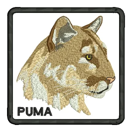 import placeholder for 424