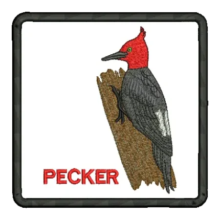 import placeholder for 442