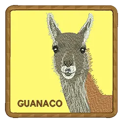 import placeholder for 3126