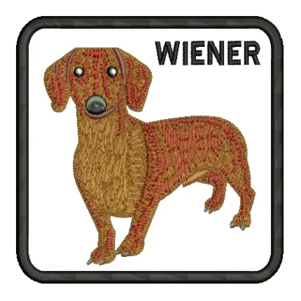 import placeholder for 455