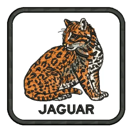 import placeholder for 495