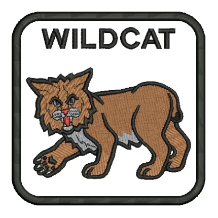 import placeholder for 497