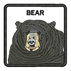 import placeholder for 513