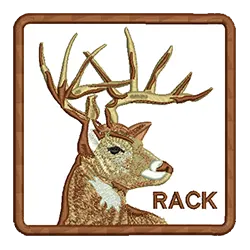 import placeholder for 520