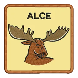 import placeholder for 532