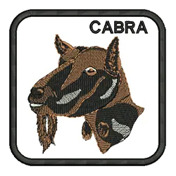 import placeholder for 539