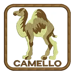 import placeholder for 545