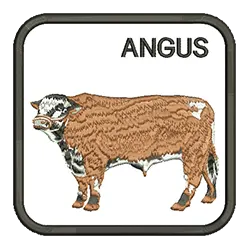 import placeholder for 571