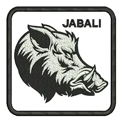 import placeholder for 575