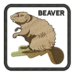 import placeholder for 590