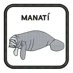 import placeholder for 612