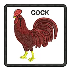 import placeholder for 665