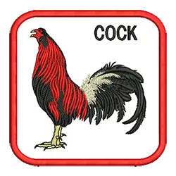 import placeholder for 670