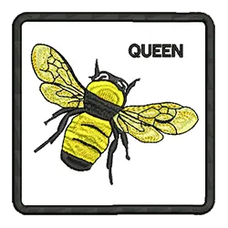 import placeholder for 676